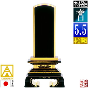 y{zy앪 㖳zÈʔv CF t {(ʕ)5.5F26.0cmy[ڈFʏ12`14cƓz