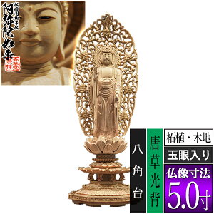 yؓdp䕧zyy@pzM ѐA(ؒn) [ʊ] 5.0M^w p [S327×120×s105mm]ɔ@/ɗy[ڈFʏ3`5cƓz