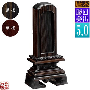 yꖇڕ̕zoʔv  h/h5.0F24.4cmy[ڈFʏ12`14cƓz