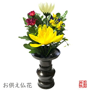  S23cm/15cm3`3.5̉ԗɍœKy[ڈFcƓ̐ߎtœoׁz