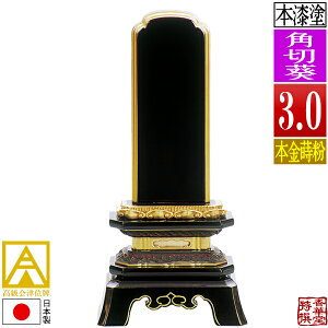 y{zy앪 㖳zÈʔv h p؈ {(ʕ)3.0F15.3cmy[ڈFʏ12`14cƓz