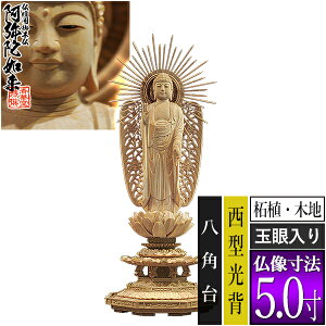 yؓdp䕧zyy^@()pz ѐA(ؒn) [ʊ] 5.0^w p [S312×120×s105mm]y^@{莛h/ɔ@/ɗy[ڈFʏ3`