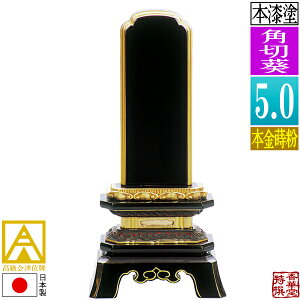 y{zy앪 㖳zÈʔv h p؈ {(ʕ)5.0F23.9cmy[ڈFʏ12`14cƓz
