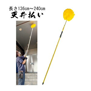 y{zpV䕥 Z 136cm`240cmy[ڈFʏ3`5cƓz