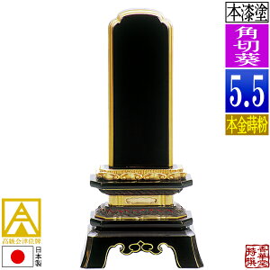 y{zy앪 㖳zÈʔv h p؈ {(ʕ)5.5F26.0cmy[ڈFʏ12`14cƓz