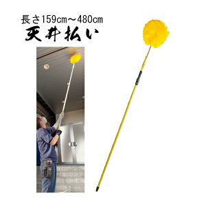 y{zpV䕥  159cm`480cmy[ڈFʏ3`5cƓz
