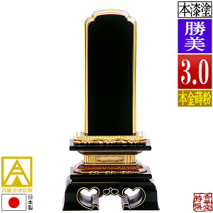 y{zy앪 㖳zÈʔv h  {(ʕ)3.0F15.3cmy[ڈFʏ12`14cƓz