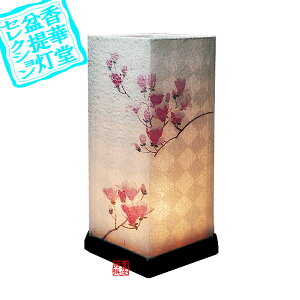 y~񓔁zns/_ 㓔H^[ؘ@]a20cm×33.5cm{HS}y[ڈFʏ8~10cƓz