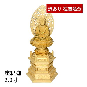 킯AEgbgSALE yT@pz ߉ Oؐ(ؒn)ʊᖳ 2.0 w Zp [S255×118×s90mm]y[ڈFcƓ̐ߎtœoׁz