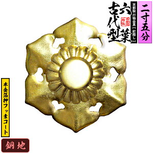 ys DzBB Zt(Ñ^) 2.5nɖ{tbfR[gdlFō/lW(Bt)y[ڈFʏ2TԌ㔭z