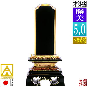 y{zy앪 㖳zÈʔv h  {(ʕ)5.0F24.0cmy[ڈFʏ12`14cƓz