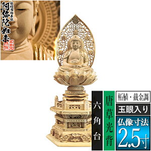 �y���ؓ�������d�p�䕧���z�y�V��@�p�z����� �ѐA��[�B���� ����] [�ʊ����] 2.5���������w �Z�p�� [�S��300×��134×���s105mm]����ɔ@��/����ɕ�/����ɍ���/����ɍ����y�[���ڈ��F��