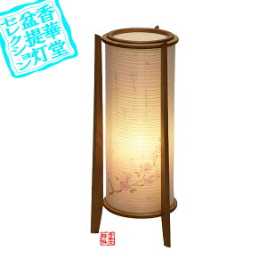 y~񓔁zns/_ 񉮍s[a]ؐ/d20cm×48cm{HS}y[ڈFʏ8~10cƓz