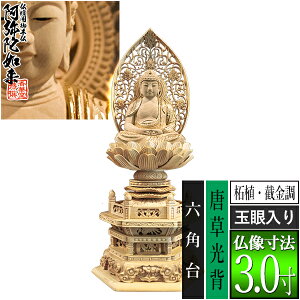 �y���ؓ�������d�p�䕧���z�y�V��@�p�z����� �ѐA��[�B���� ����] [�ʊ����] 3.0���������w �Z�p�� [�S��341×��150×���s118mm]����ɔ@��/����ɕ�/����ɍ���/����ɍ����y�[���ڈ��F��