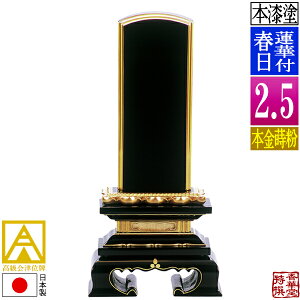 y{zy앪 㖳zÈʔv h @ؕtt {(ʕ)2.5F13.2cmy[ڈFʏ12`14cƓz