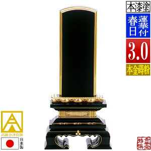 y{zy앪 㖳zÈʔv h @ؕtt {(ʕ)3.0F15.3cmy[ڈFʏ12`14cƓz