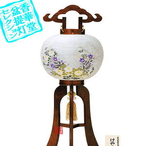 y~񓔁zs(3{) 9 uꂯ₫ؐ[]/d69cm×Α܌a()28cm{SK}y[ڈFʏ3`5cƓz