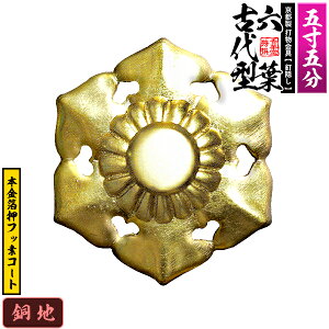 ys DzBB Zt(Ñ^) 5.5nɖ{tbfR[gdlFō/lW(Bt)y[ڈFʏ2TԌ㔭z