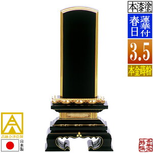 y{zy앪 㖳zÈʔv h @ؕtt {(ʕ)3.5F17.3cmy[ڈFʏ12`14cƓz