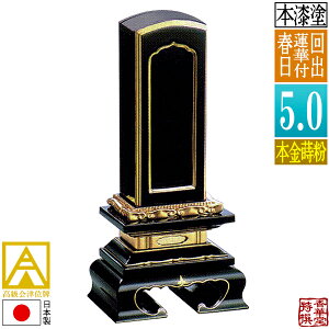 yꖇڕ̕zÈʔv oʔv @ؕtt {(ʕ)D5.0(c15.0cm)F23.8cmy[ڈFʏ12`14cƓz