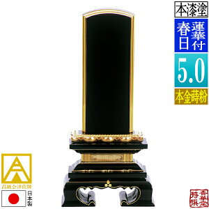 y{zy앪 㖳zÈʔv h @ؕtt {(ʕ)5.0F23.8cmy[ڈFʏ12`14cƓz