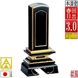 yꖇڕ̕zÈʔv oʔv t {(ʕ)D3.0(c9.0cm)F15.4cmy[ڈFʏ12`14cƓz
