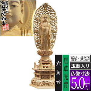 yؓdp䕧zyy@pzM ѐA[B ] [ʊ] 5.0M^w Zp [S380×134×s96mm]ɔ@/ɗy[ڈFʏ3`5cƓ