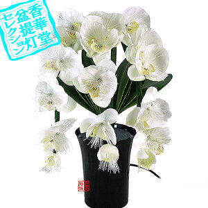 y~񓔁zԕtO/t[Cg Oh~iXSTD Ӓ(3{)PC/@48cm{SK}y[ڈFʏ3`5cƓz