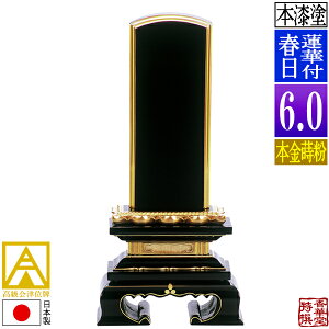 y{zy앪 㖳zÈʔv h @ؕtt {(ʕ)6.0F28.4cmy[ڈFʏ12`14cƓz