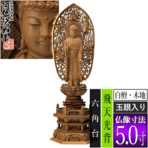 yؓdp䕧zyy@pzM h(ؒn) [ʊ] 5.0M^V Zp [S371×134×s96mm]ɔ@/ɗy[ڈFʏ3`5cƓz