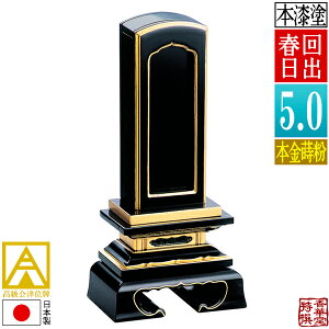 yꖇڕ̕zÈʔv oʔv t {(ʕ)D5.0(c15.0cm)F23.7cmy[ڈFʏ12`14cƓz