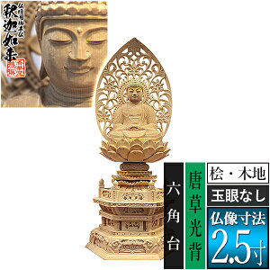 yؓdp䕧zyT@pz߉ Oؐ(ؒn)ʊᖳ 2.5w Zp [S310×133×s95mm]߉ޔ@/߉ޖ/߉ލ/߉ލy[ڈFʏ3`5cƓ