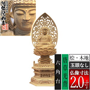 yؓdp䕧zyV@pz Oؐ(ؒn)ʊᖳ 2.0w Zp [S255×118×s90mm]ɔ@/ɕ/ɍ/ɍy[ڈFʏ3`5c