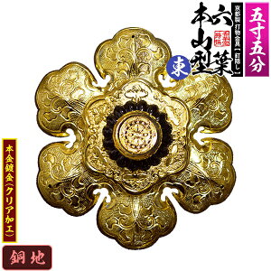 ys DzBB Zt []{R^ ~ 5.5nɖ{t(bL)Bty[ڈFʏ2TԌ㔭z