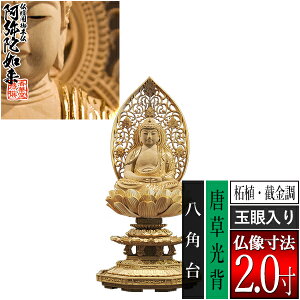 �y���ؓ�������d�p�䕧���z�y�V��@�p�z����� �ѐA��[�B���� ����] [�ʊ����] 2.0���������w ���p�� [�S��225×��101×���s94mm]����ɔ@��/����ɕ�/����ɍ���/����ɍ����y�[���ڈ��F��