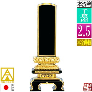 y{zy앪 㖳zÈʔv h q {(ʕ)2.5F14.1cmy[ڈFʏ12`14cƓz
