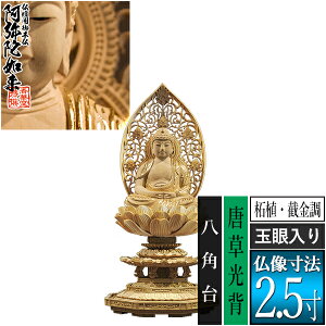 �y���ؓ�������d�p�䕧���z�y�V��@�p�z����� �ѐA��[�B���� ����] [�ʊ����] 2.5���������w ���p�� [�S��260×��120×���s113mm]����ɔ@��/����ɕ�/����ɍ���/����ɍ����y�[���ڈ��F��