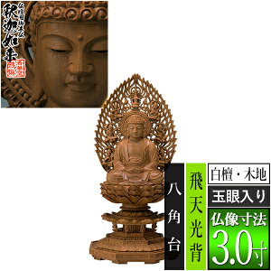 yؓdp䕧zyT@pz߉ h(ؒn) [ʊ] 3.0Vw p [S300×143×s131mm]߉ޔ@/߉ޖ/߉ލ/߉ލy[ڈFʏ3`5cƓ