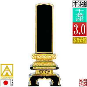 y{zy앪 㖳zÈʔv h q {(ʕ) 3.0F16.0cmy[ڈFʏ12`14cƓz