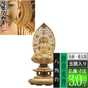 �y���ؓ�������d�p�䕧���z�y�V��@�p�z����� �ѐA��[�B���� ����] [�ʊ����] 3.0���������w ���p�� [�S��300×��143×���s131mm]����ɔ@��/����ɕ�/����ɍ���/����ɍ����y�[���ڈ��F��