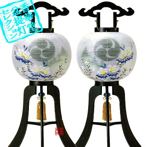 y~񓔁zΕs(3{) Ɩ 10 Hgh (21g)ؐ[h˔]/d83cm×Α()33cm{SK}y[ڈFʏ2TԌ㔭z