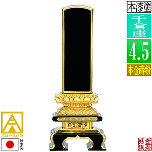 y{zy앪 㖳zÈʔv h q {(ʕ)4.5F22.5cmy[ڈFʏ12`14cƓz
