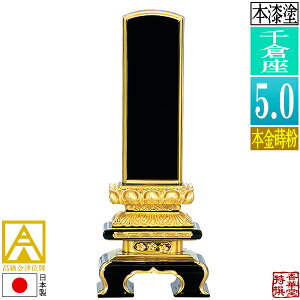 y{zy앪 㖳zÈʔv h q {(ʕ)5.0F24.8cmy[ڈFʏ12`14cƓz