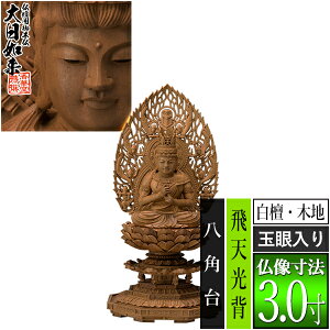 yؓdp䕧zy^@pz@ h(ؒn) [ʊ] 3.0Vw p [S305×143×s131mm]dḎՓߔ@/Տ//y[ڈFʏ3`5c