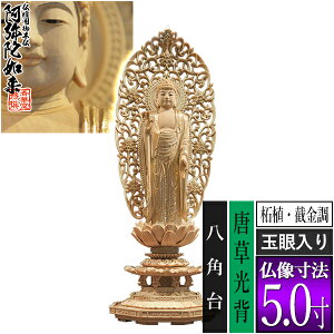 yؓdp䕧zyy@pzM ѐA[B ] [ʊ] 5.0M^w p [S327×120×s105mm]ɔ@/ɗy[ڈFʏ3`5cƓ