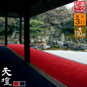 y؂蔄zy190cmzџ Vd(Ă񂾂) 3mm2F[/]yIz10cmPŒwu10vŒ40My[ڈFʏ3`5cƓz