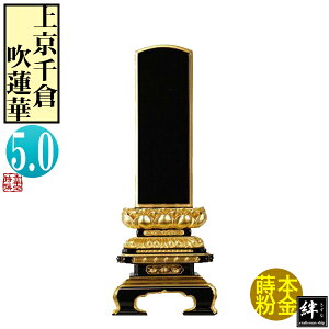 y앪 㖳zJhʔv ㋞q @ ʕ 5.024.9×9.6×s5.1[cm]D5(15.2cm)D5.6cmy[ڈFʏ12`14cƓz