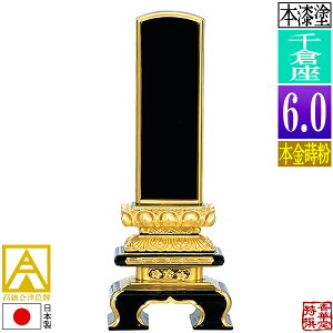 y{zy앪 㖳zÈʔv h q {(ʕ)6.0F28.7cmy[ڈFʏ12`14cƓz