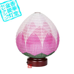 y~񓔁zns/_ (䂢)2 [R[hX]ؐ/d[@]20cm×Α܌a16cm{AS}y[ڈFʏ3`5cƓz