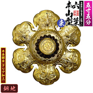 ys DzBB Zt []{R^ ۍ 5.5nɖ{t(bL)Bty[ڈFʏ2TԌ㔭z